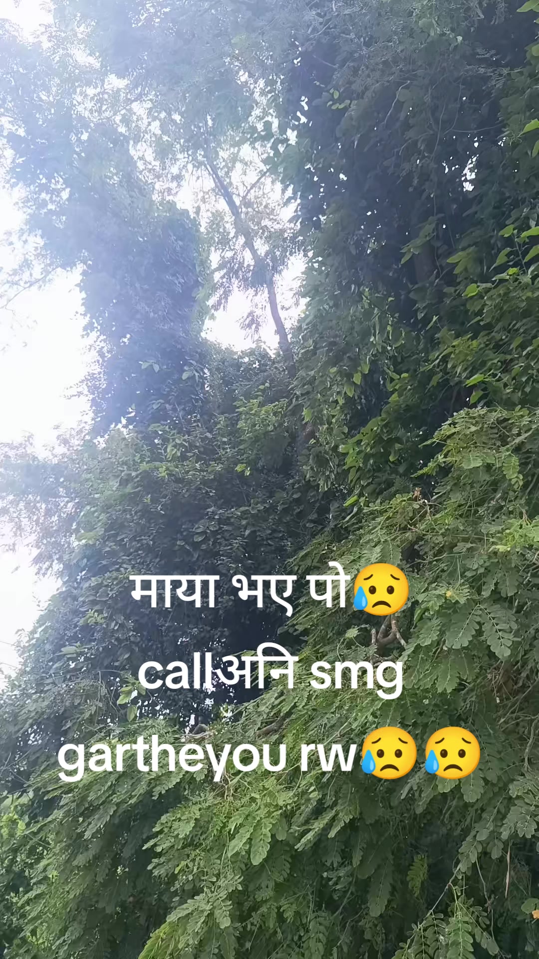 @lekhnathghimire187