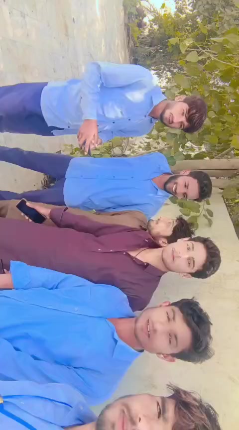 @qalab Abbas 736