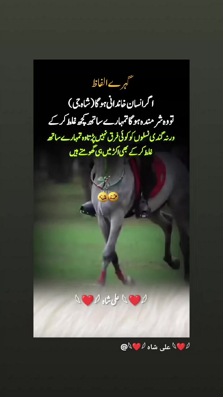 @👑😘Z@!nلاڈلہ😘👑