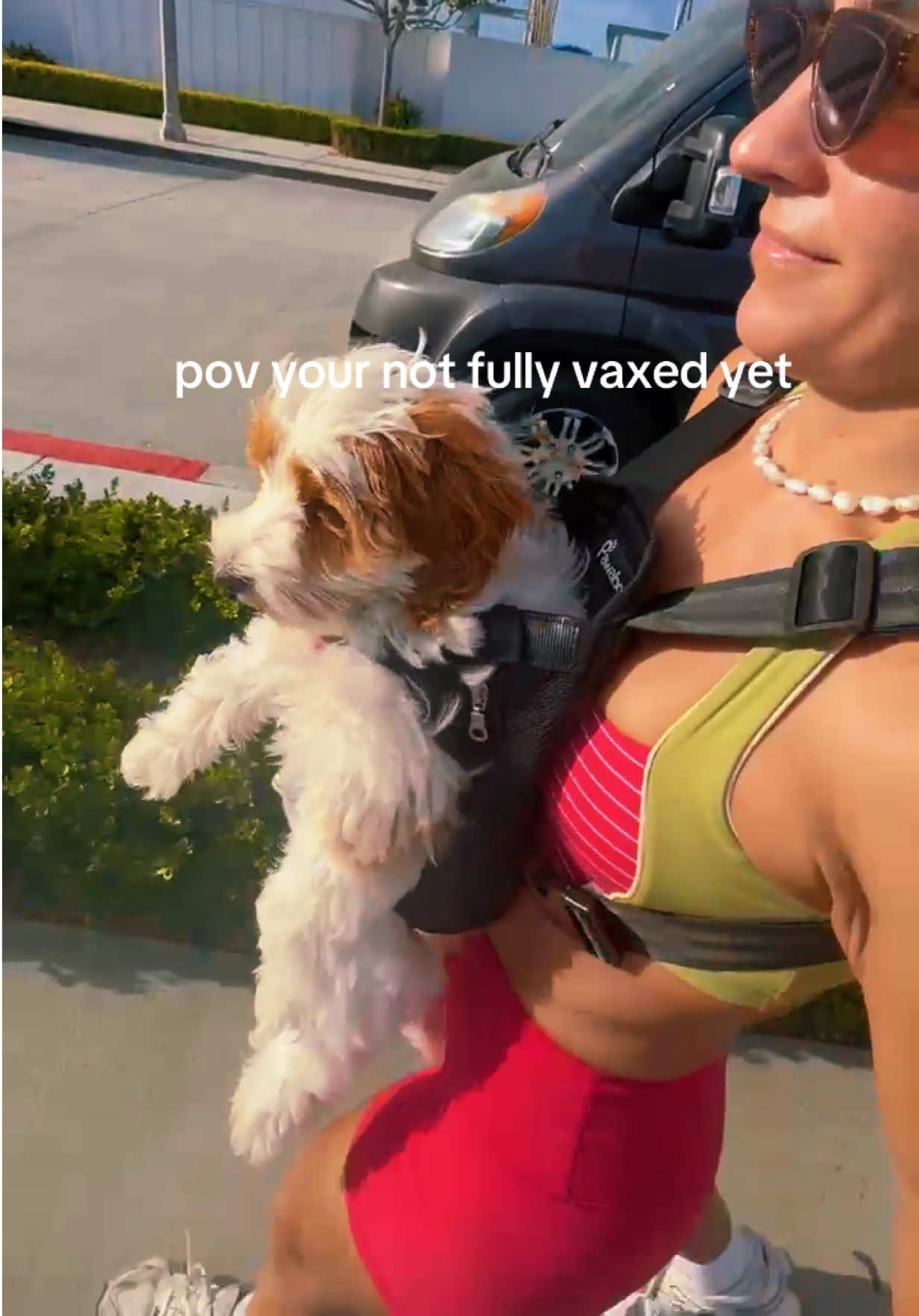 @rebeccaorlandini