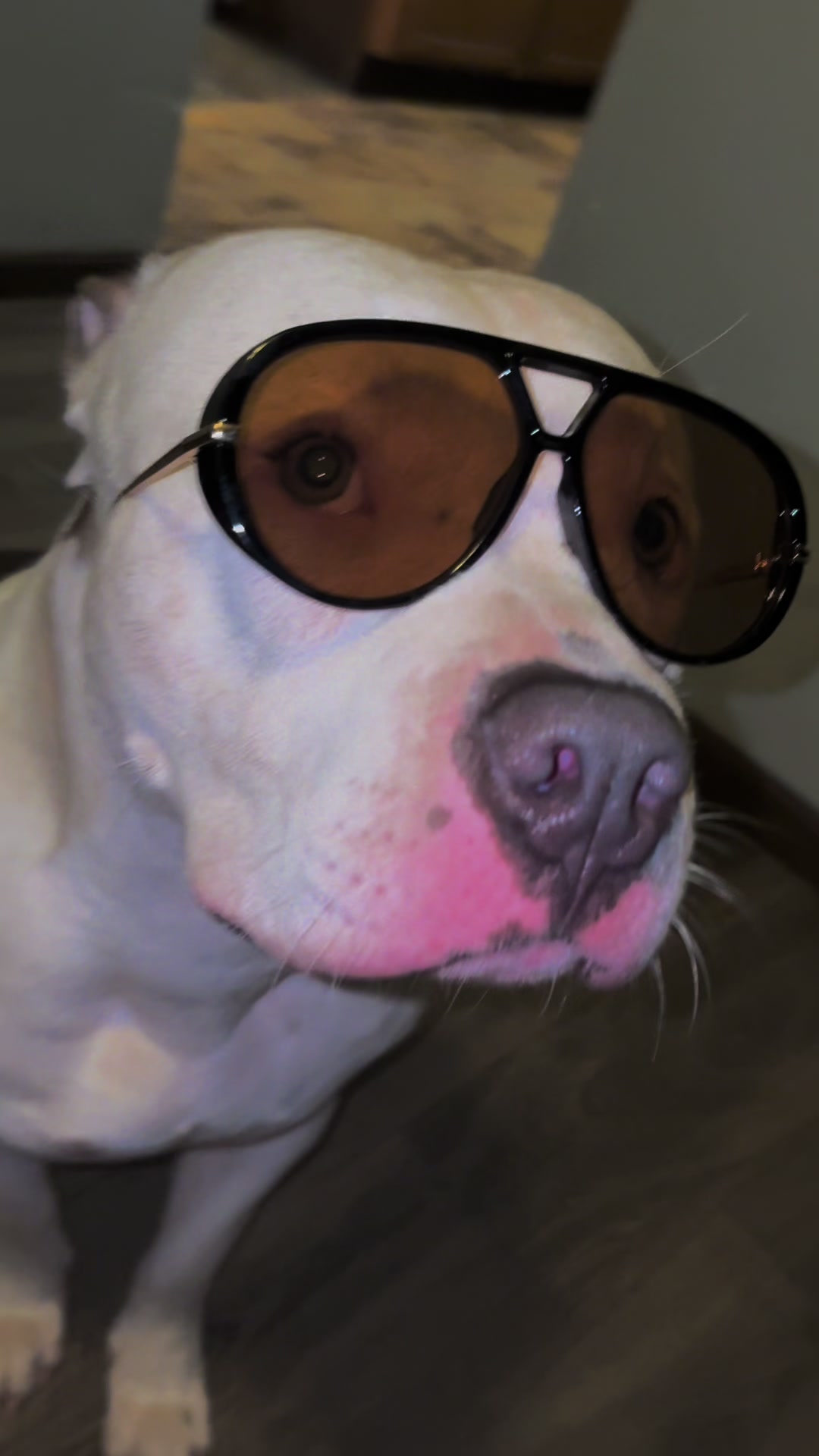 @@losbaby🐶🤍🖤💙