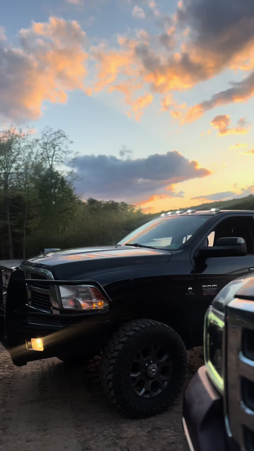 @6.0_dane