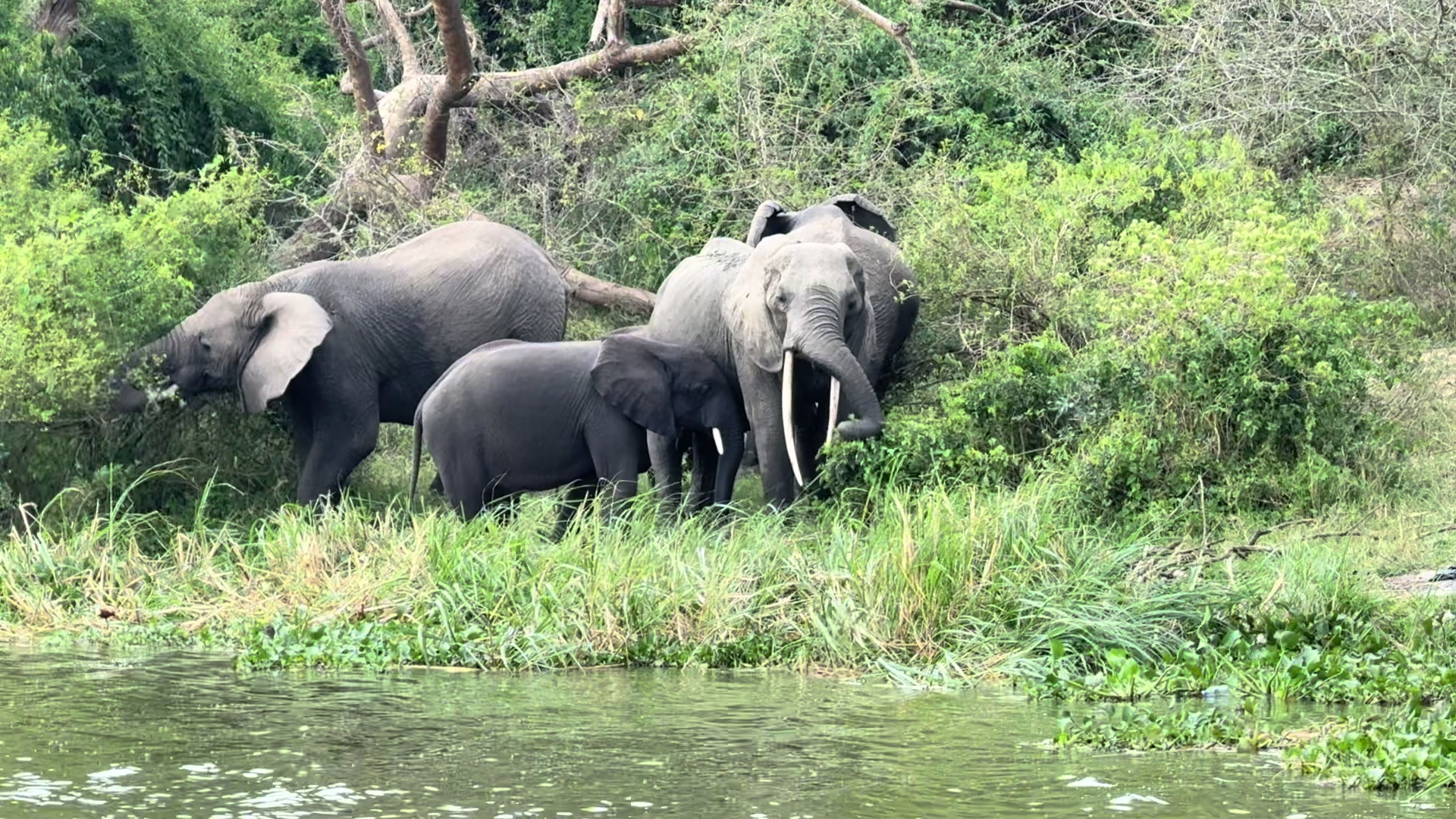 @ETRISS ADVENTURES&SAFARIS 🇺🇬