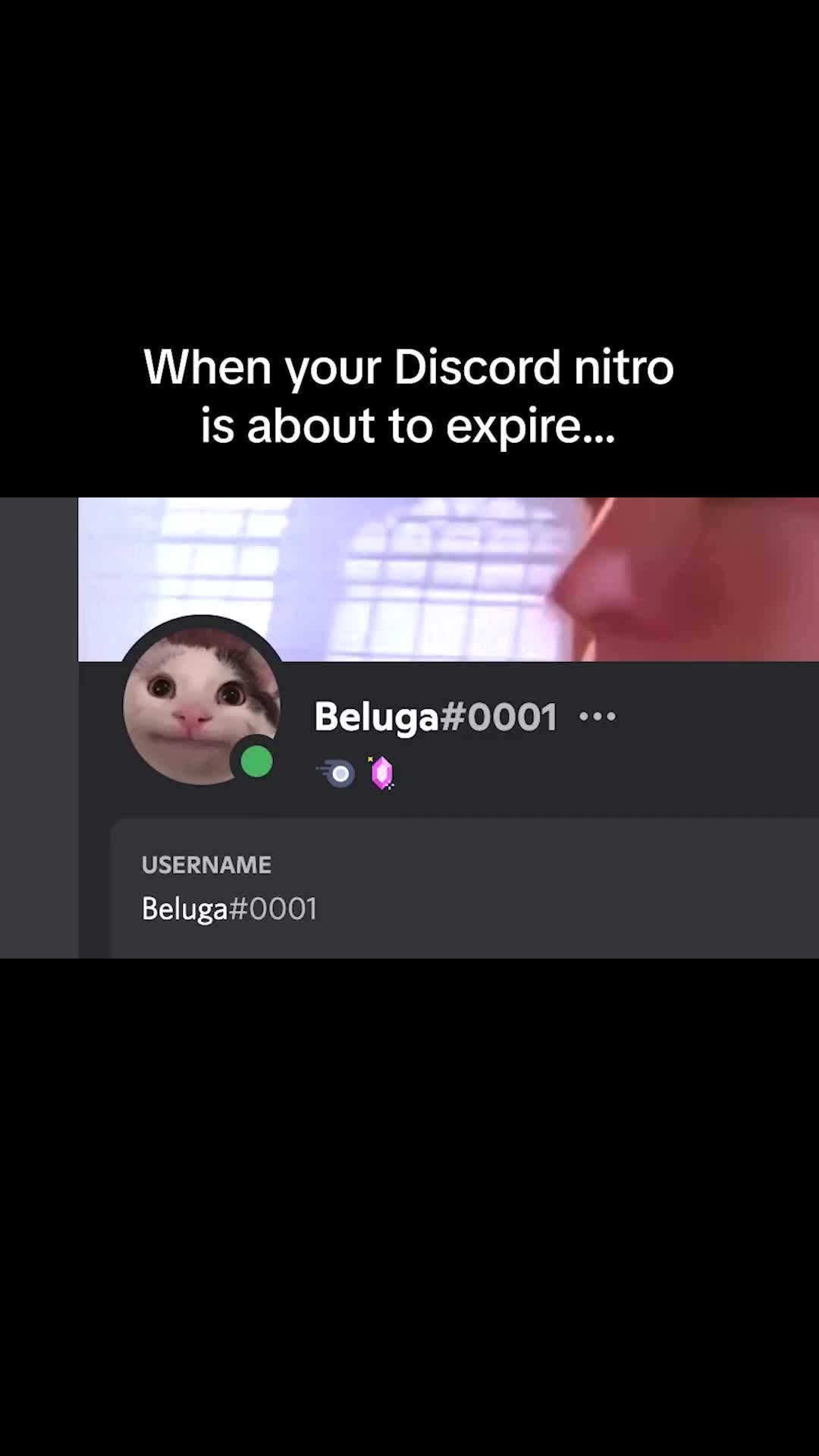 @Beluga