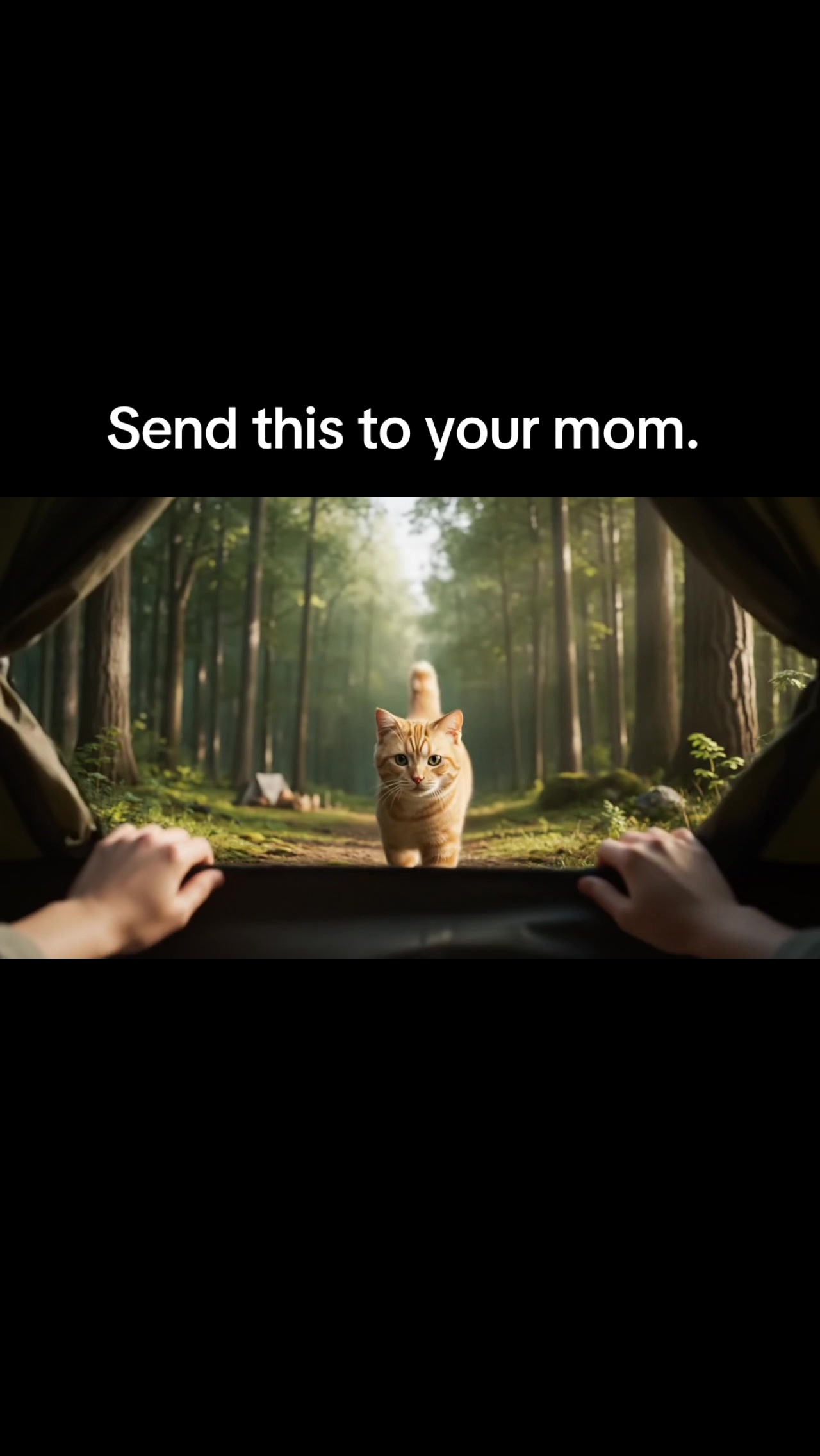 @laugh with me