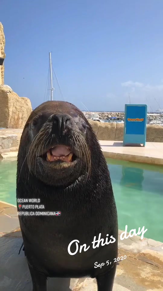 @oceanworldRD