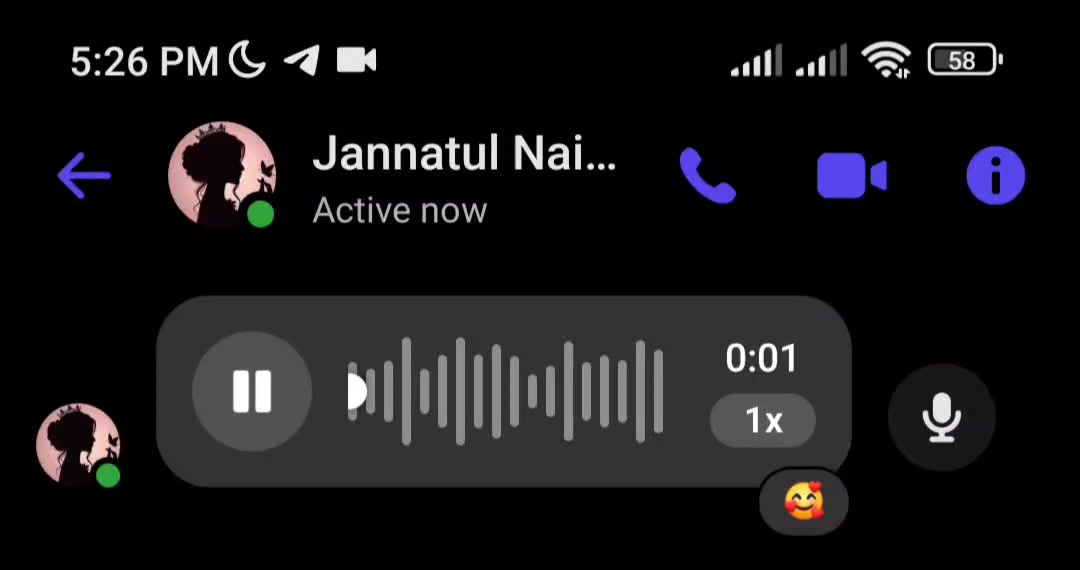 @Voice Of Jannatul