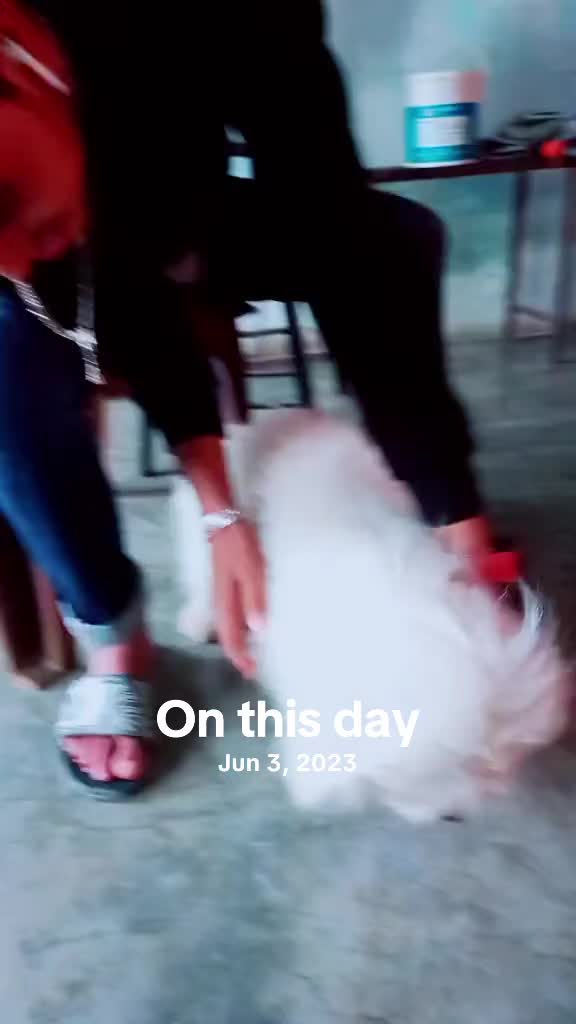 @Soni Sunar🛎️🛎️