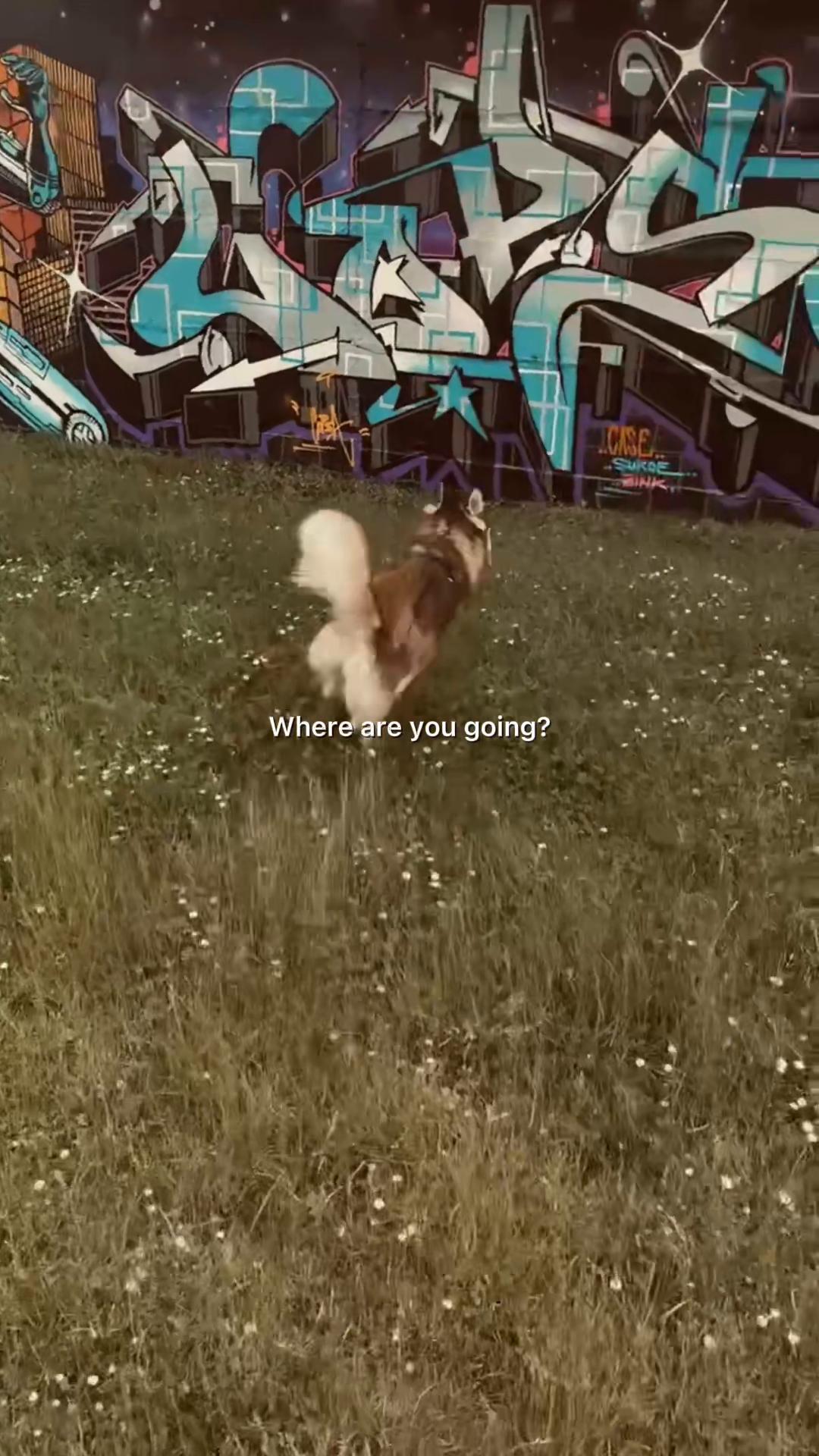 @𝑱𝒆𝒔𝒔𝒊🤍