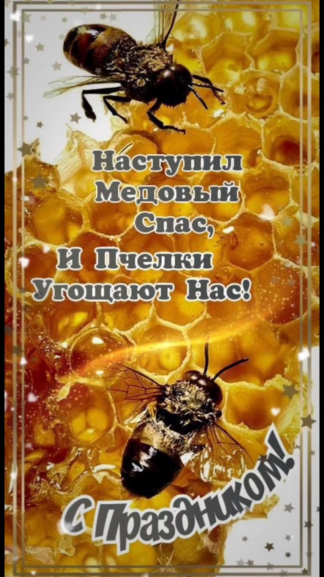 @olga