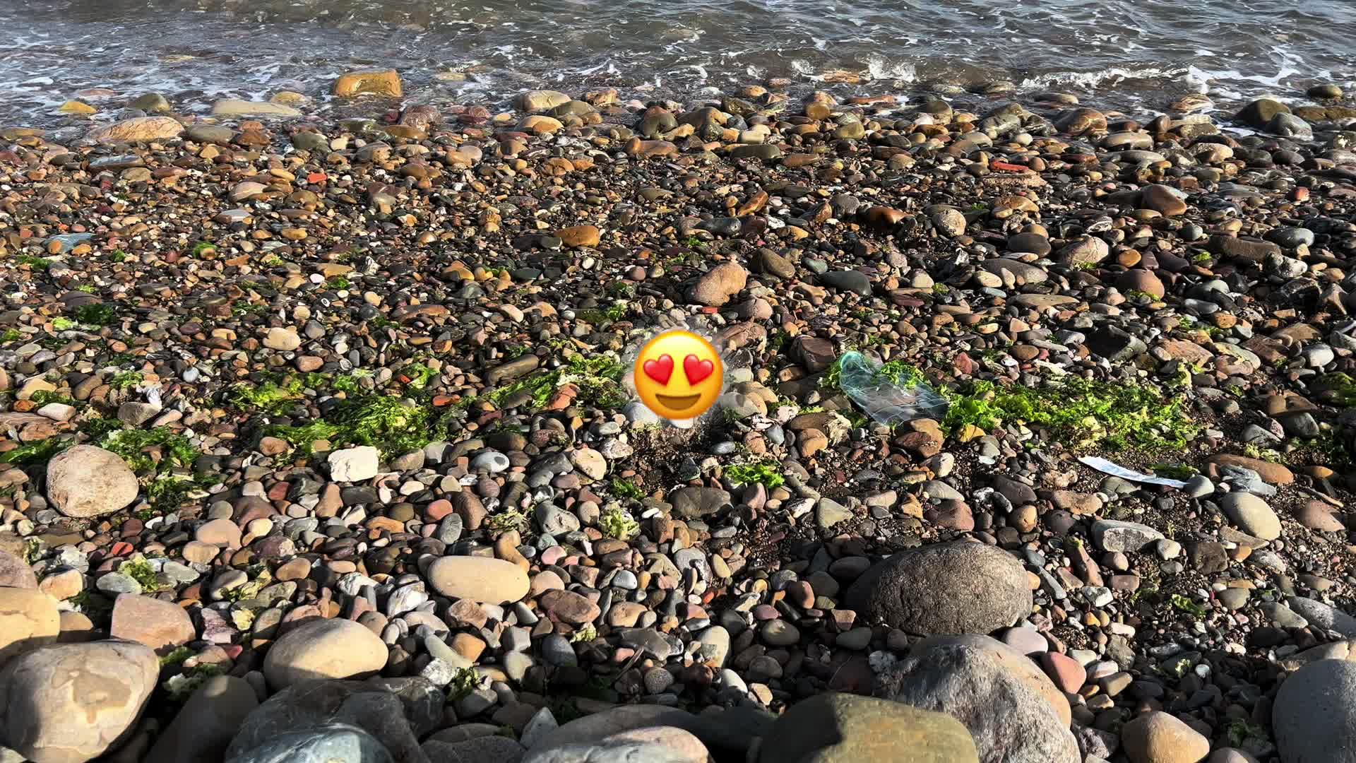 @🍃
