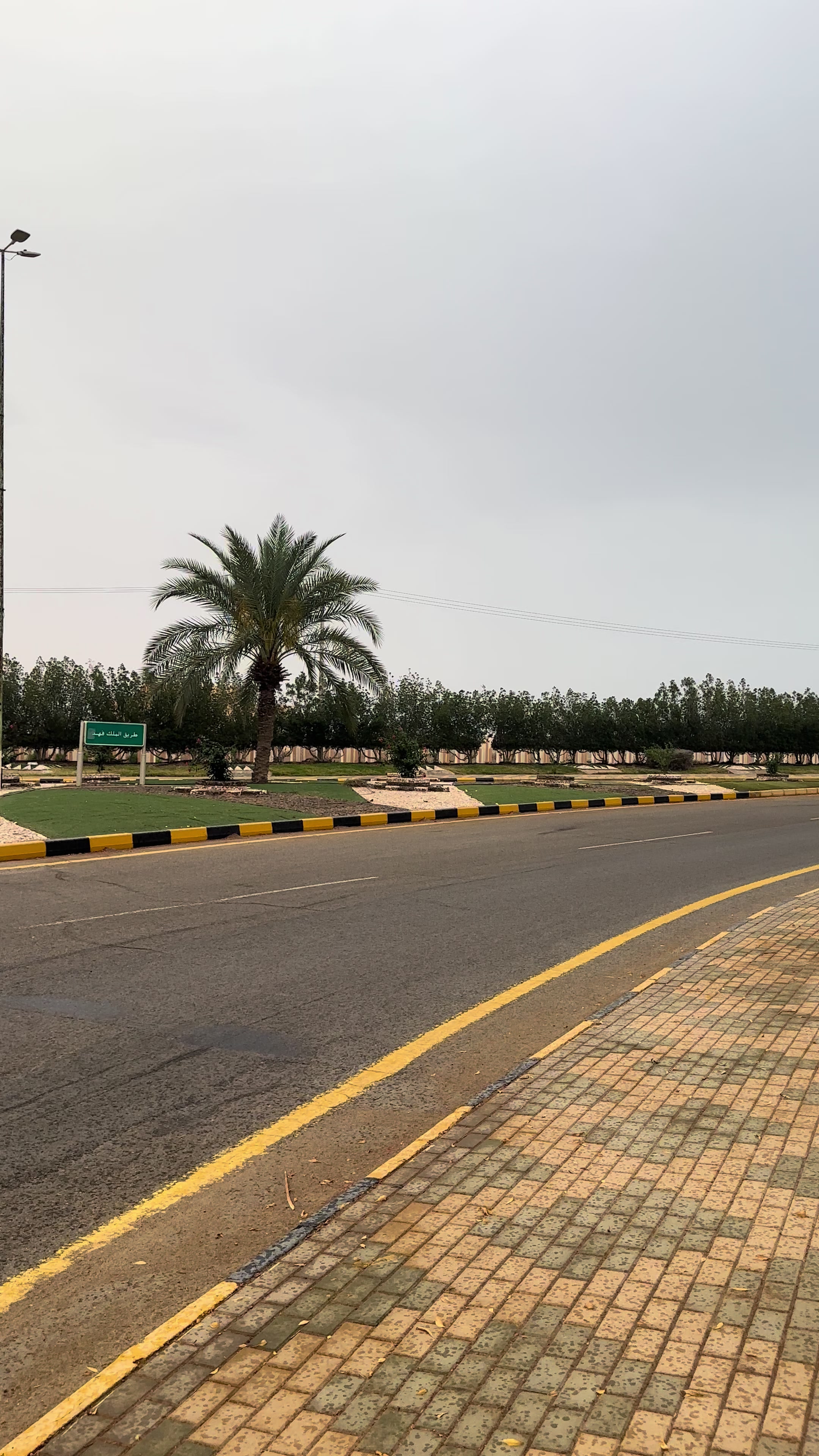 @ابن اليمن 🇾🇪/تبوك📸🇸🇦