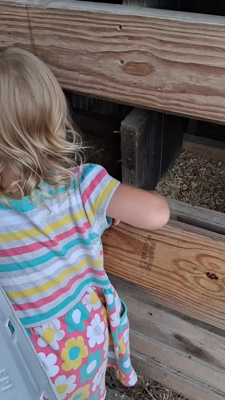 @Taylor | Sah{farm}m