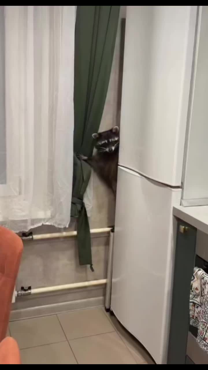 @acerola3165🇨🇵🇨🇮🇬🇳