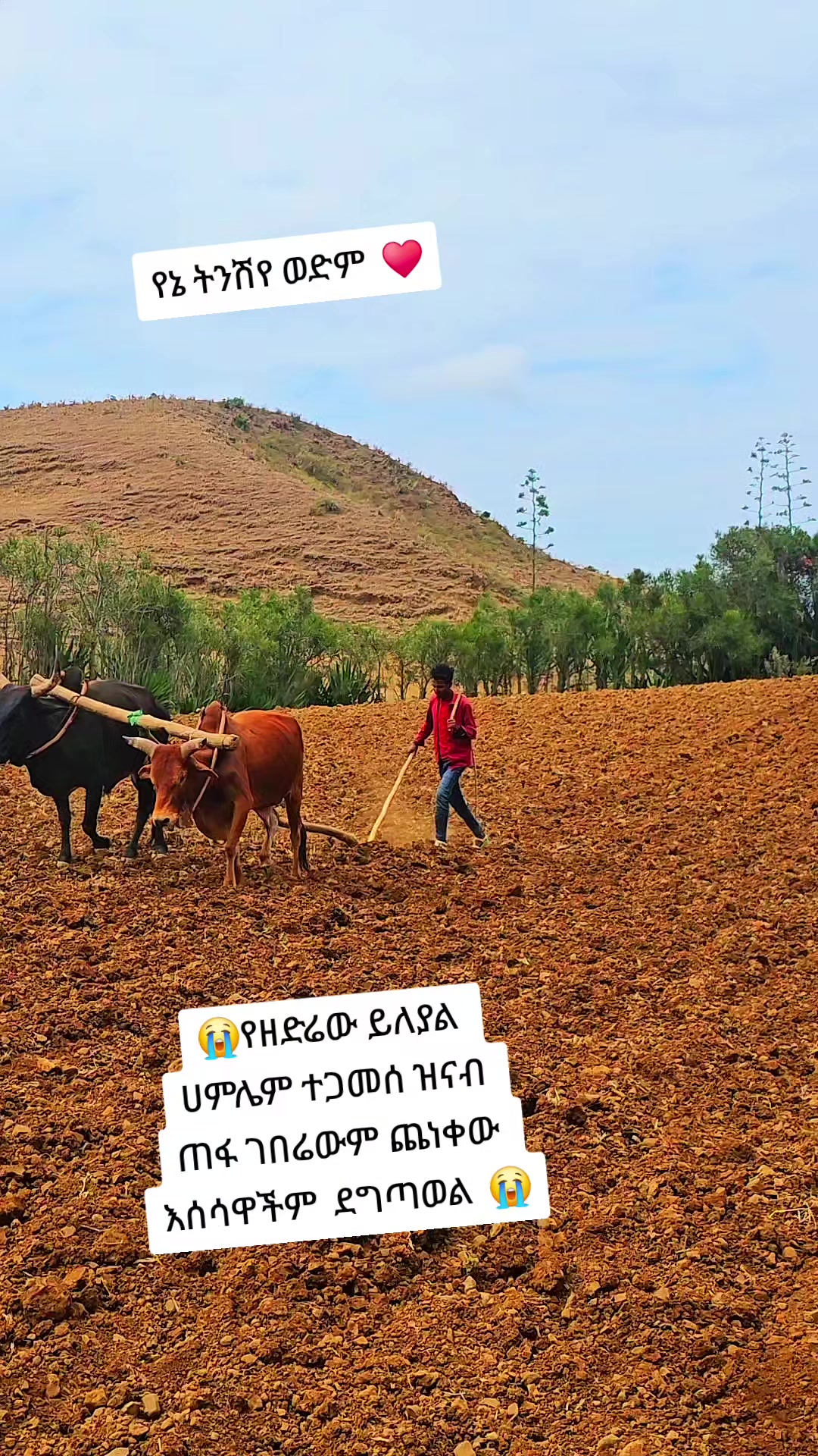 @ረሂማ ፋሽን ዱባይ እሁሉም ቦታ