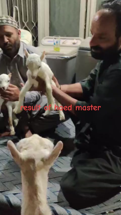 @Asif salad wala