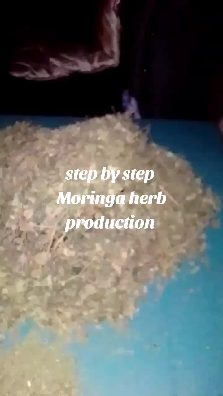 @ChampopoRocketsHardwoker