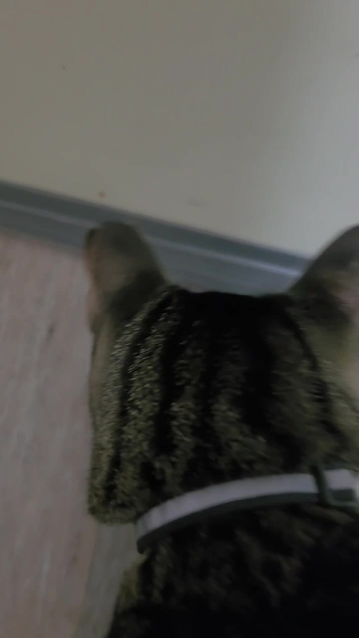 @Little Bit Wildlife Rescue