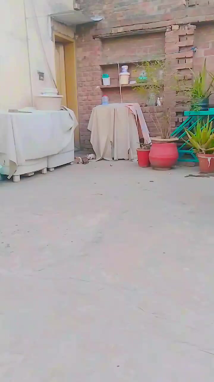 @کالے جھنڈے 🏴🏴