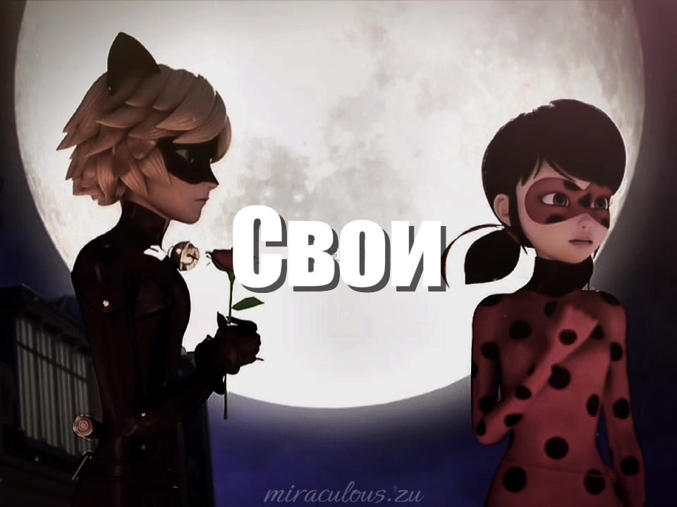 @Lady Blog🐞