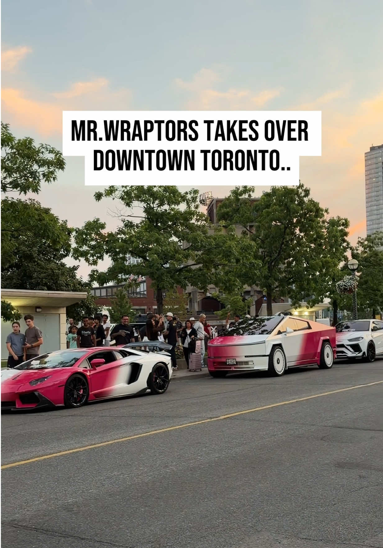 @mr.wraptors