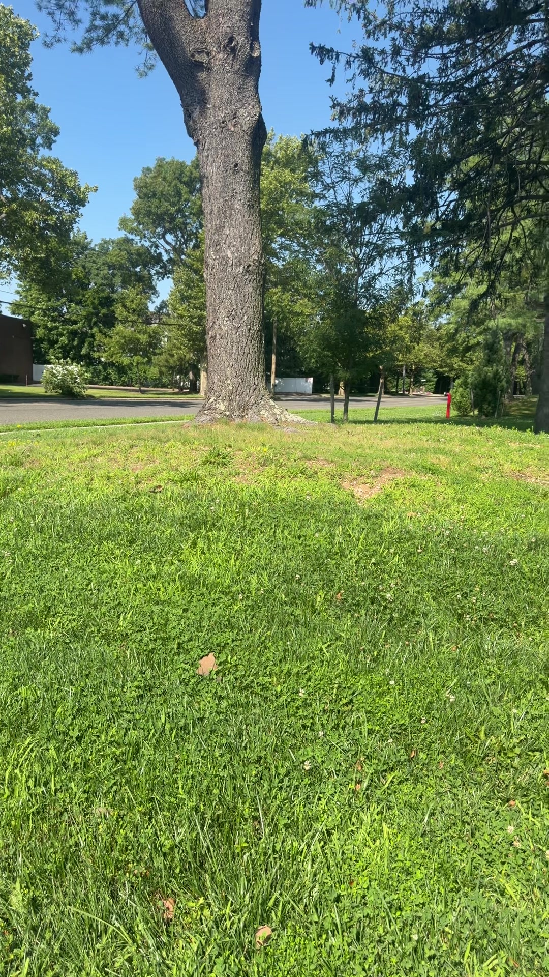 @WwwAEMlandscapingandconstruct