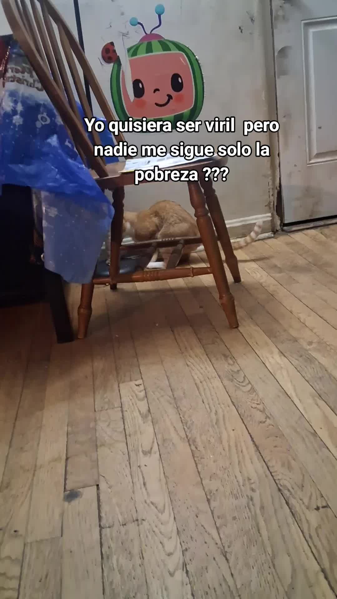 @Ventura Mirta