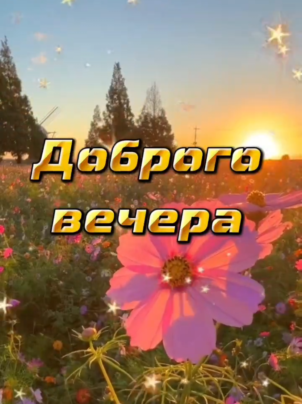 @CAPCUT - ШАБЛОНЫ - Александр