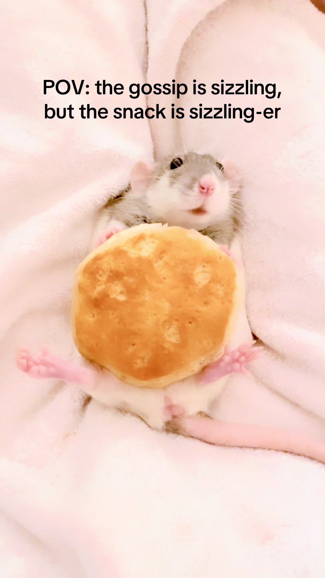 @RatsHaveFeelingsToo