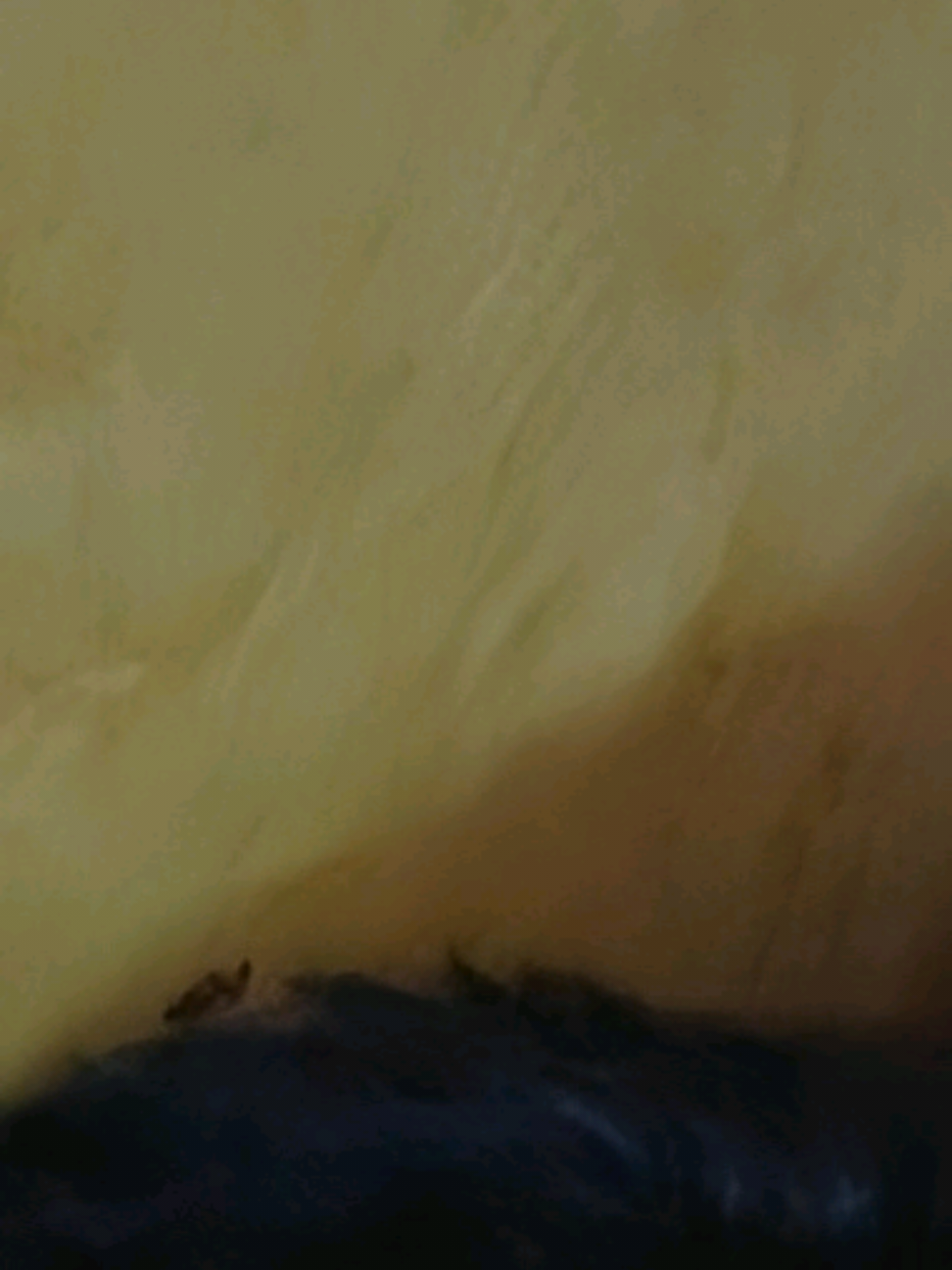 @νιяα.мυѕιᴄᥫ᭡