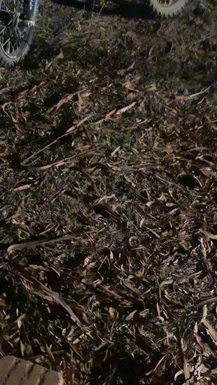 @6️⃣4️⃣0️⃣films Odin😮💨