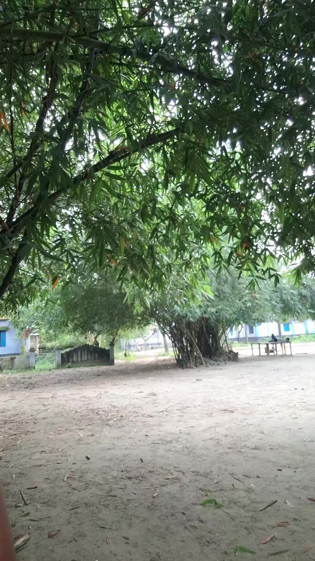 @Rajjak999
