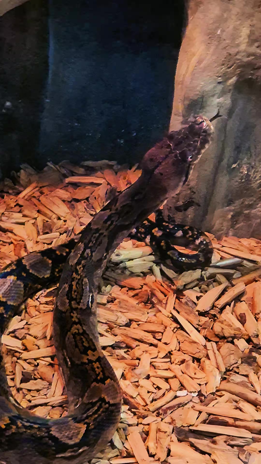 @𝕸𝖆𝖗𝖎𝖓𝖊𝖙 🔥
