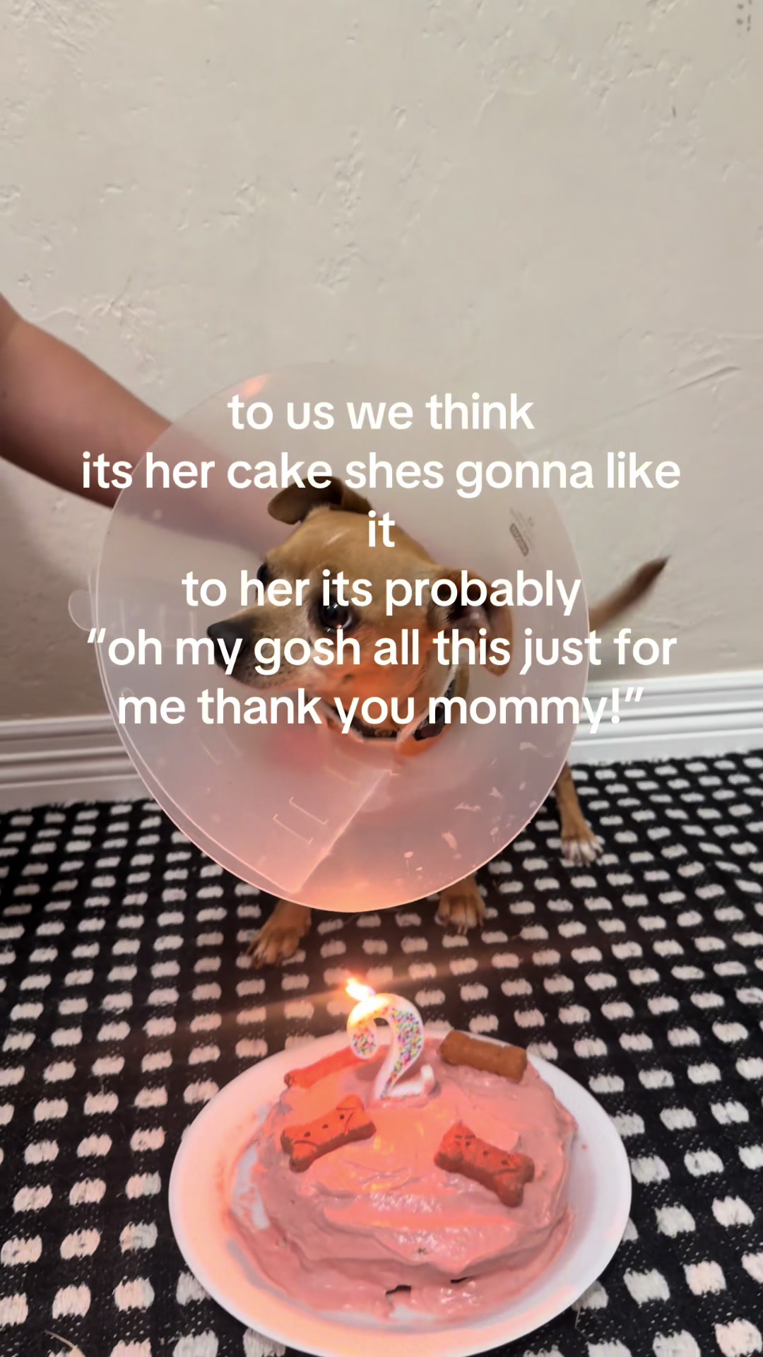 @𝘈𝘭𝘺𝘴𝘴𝘢💋