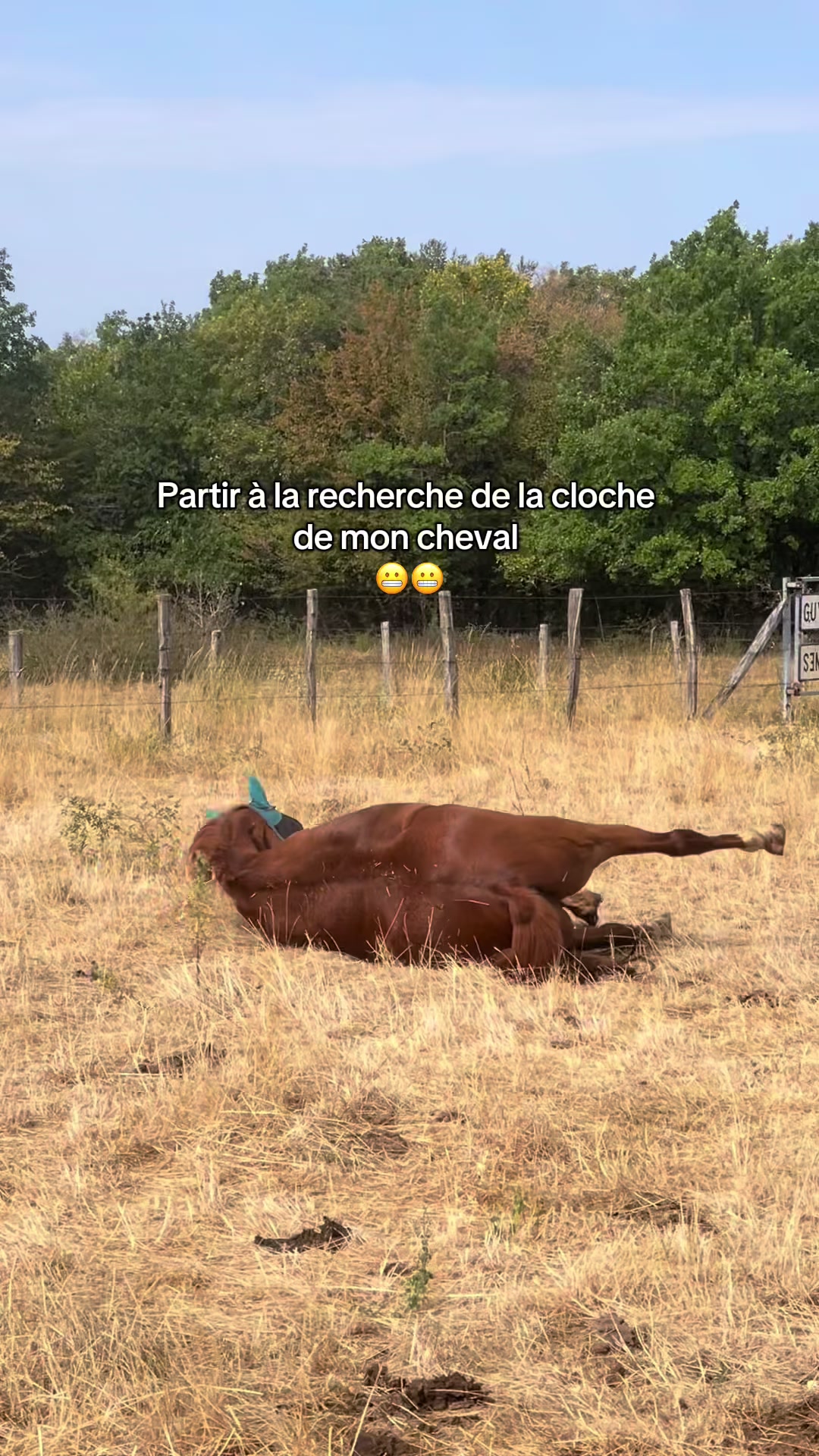 @Rolly&compagnie