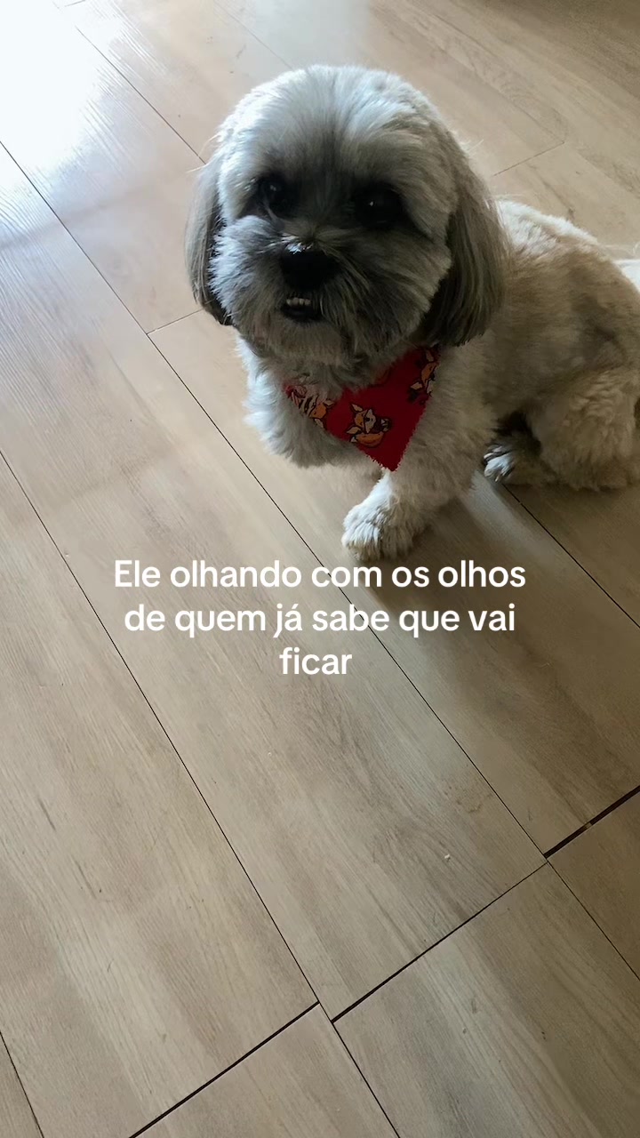 @Mahhelena