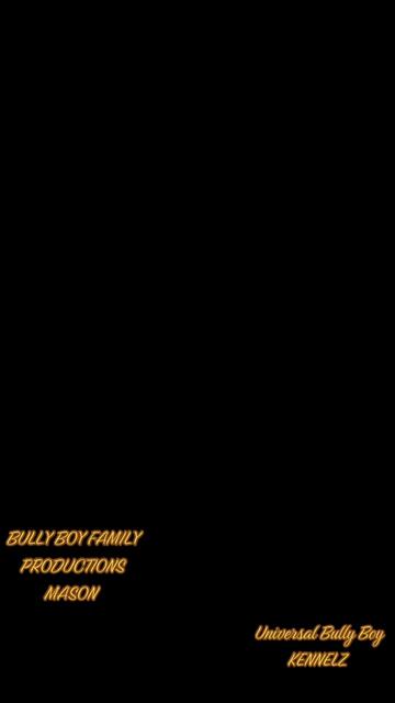 @BULLY BOY FAMILY PRODUCTIONS