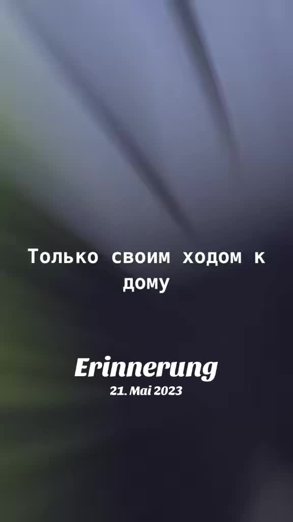 @Vitali