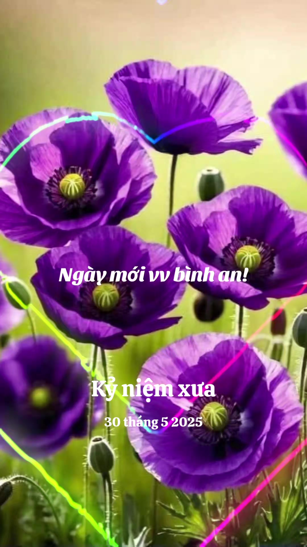 @nguyễn dung