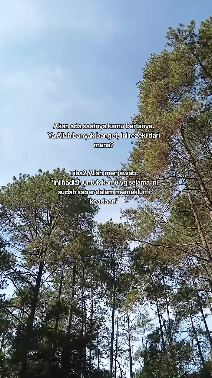 @bearr🐻