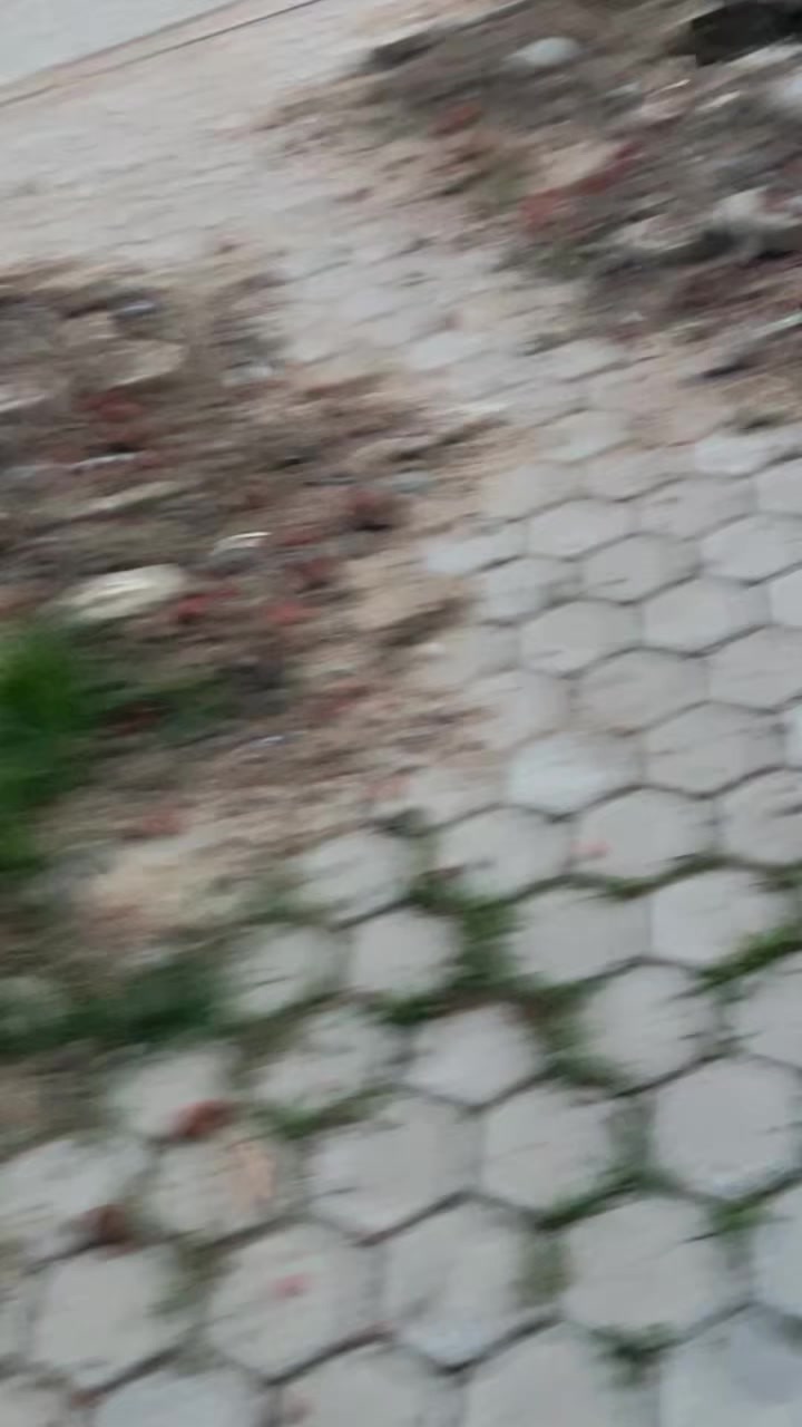 @Ɇαgℓєɱƛꋊ✰🦅☠️🦴