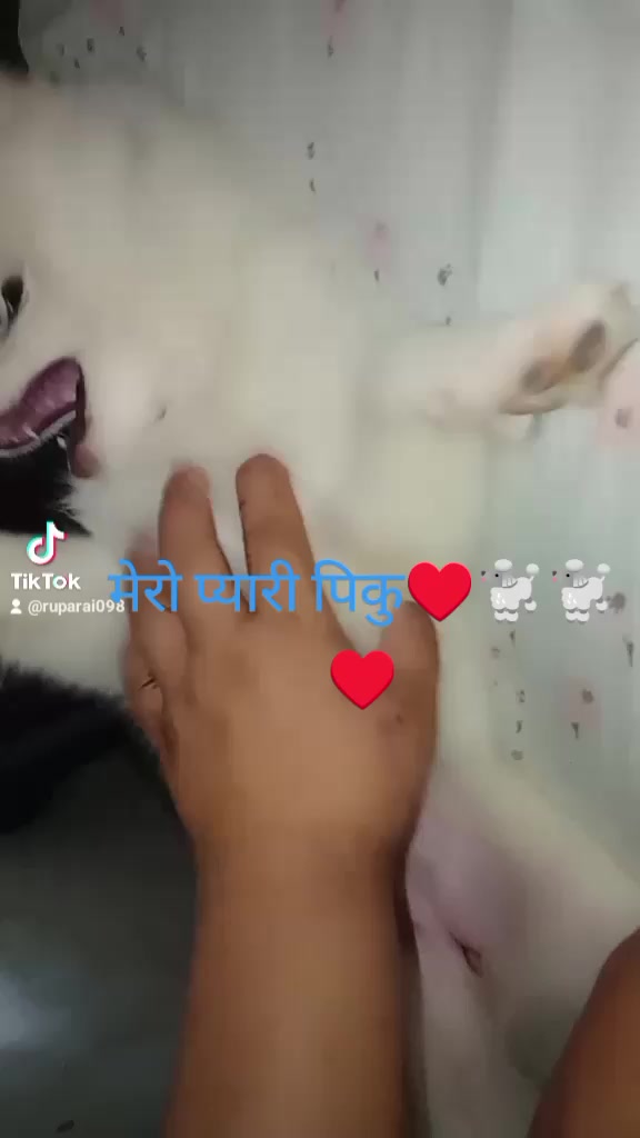 @Rupa Rai