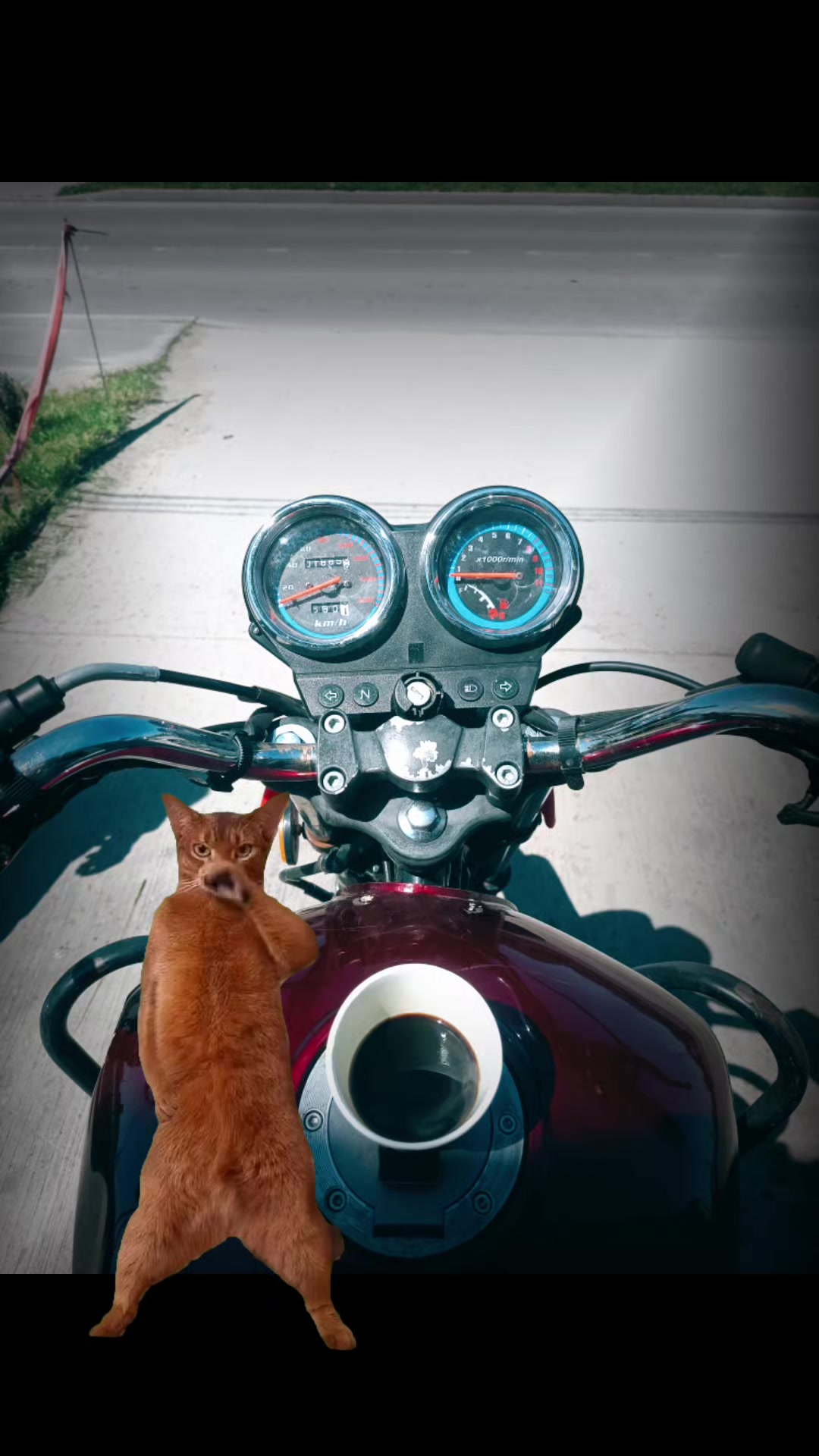 @stefan🏍️