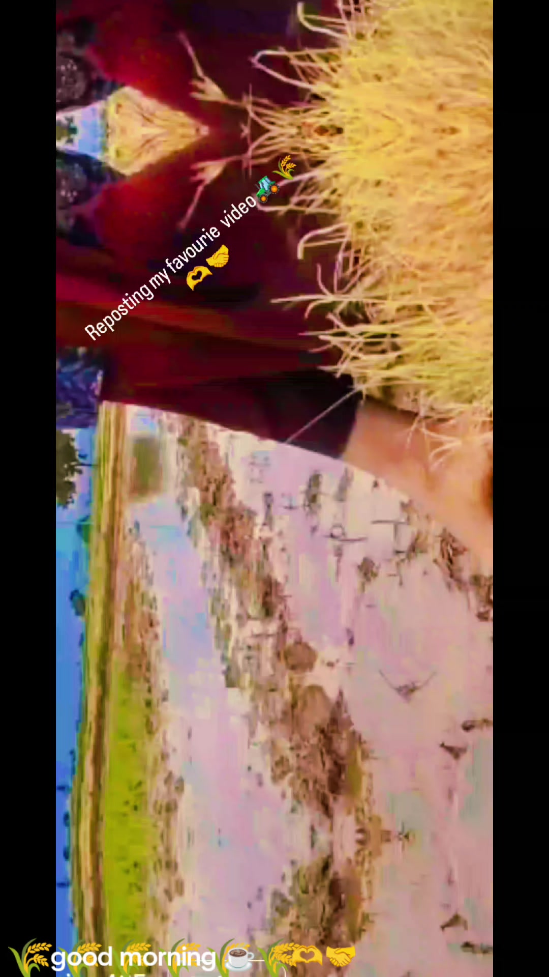 @💐🖤Madhu🖤💐