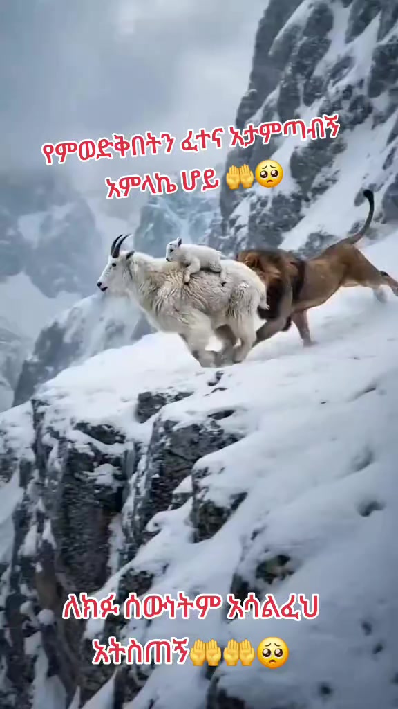 @âšð©žGeniðâ¹â€ïžâ³ð
ðŠ