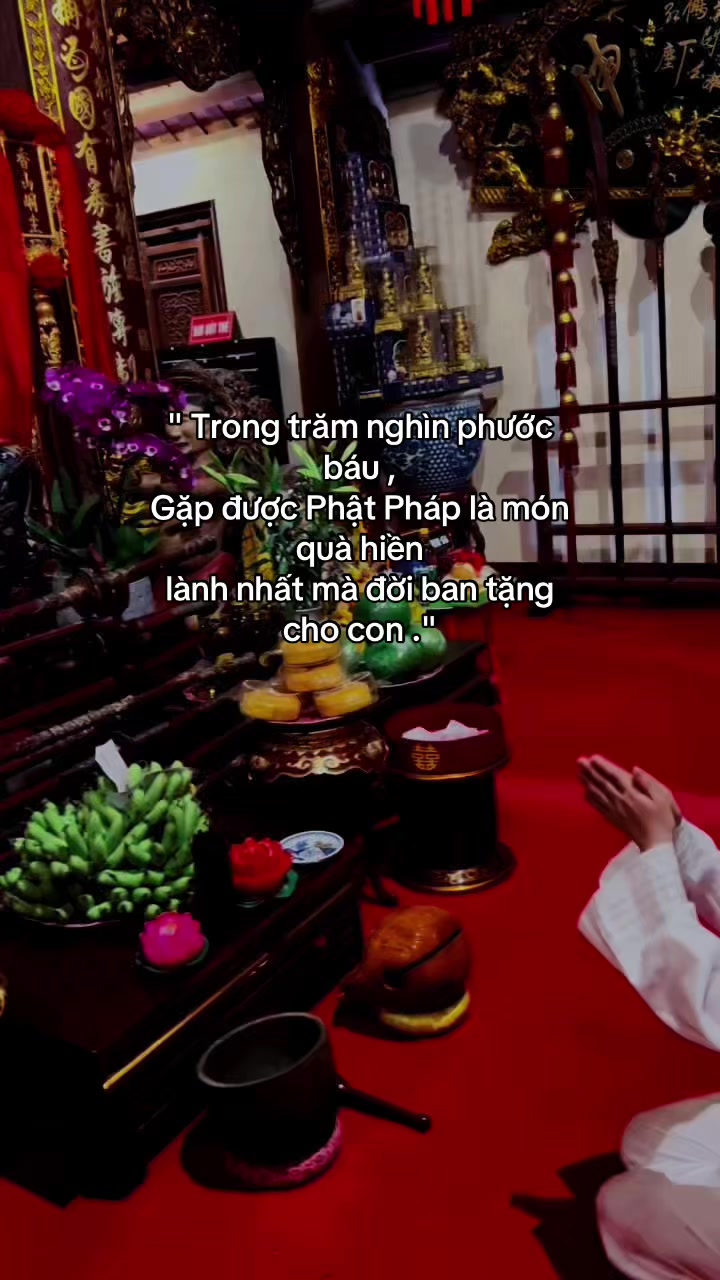 @Mẹ Thóc Trang Phục 🪷