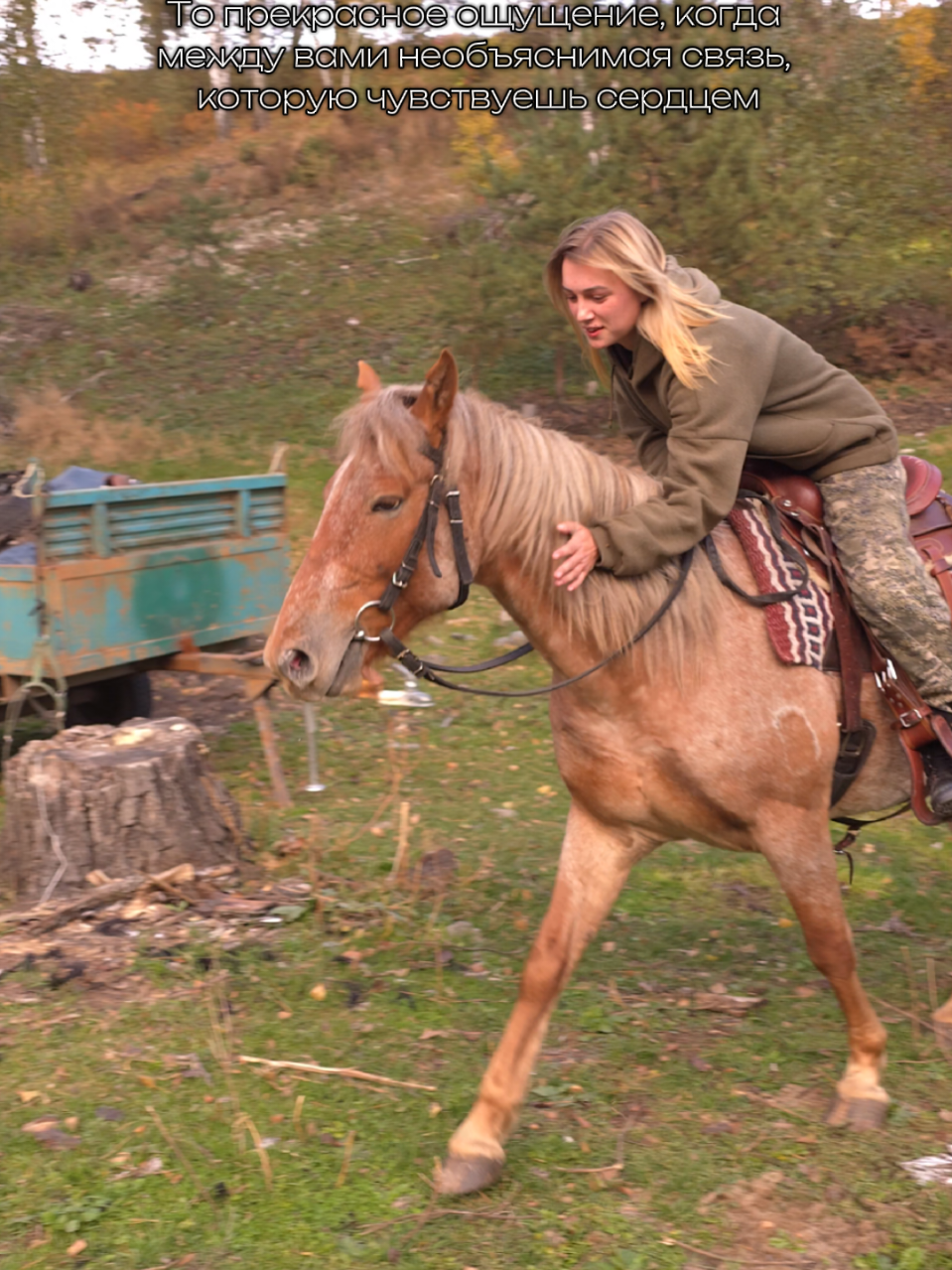 @tg: altaihorses