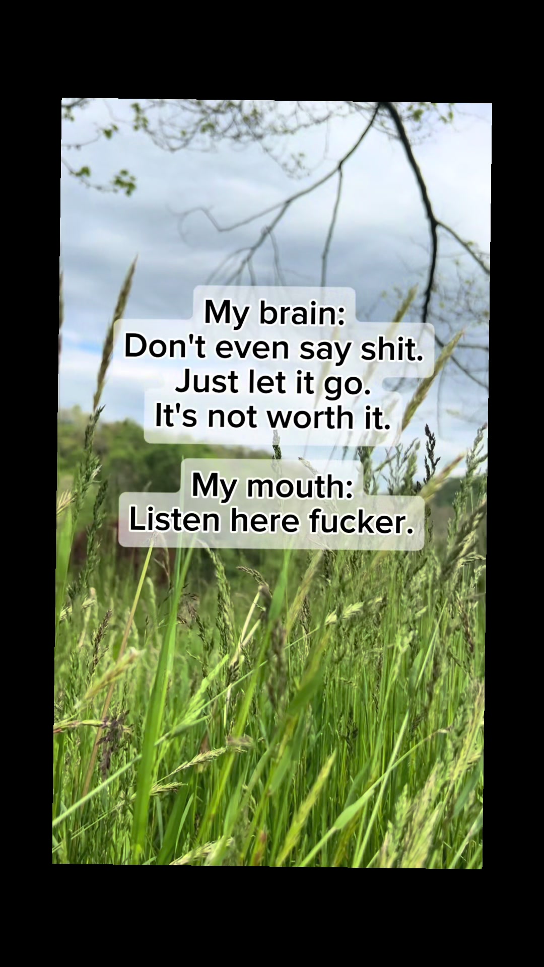 @đđČđźđ±âđČđđČđ»đźđ»đđșđđ