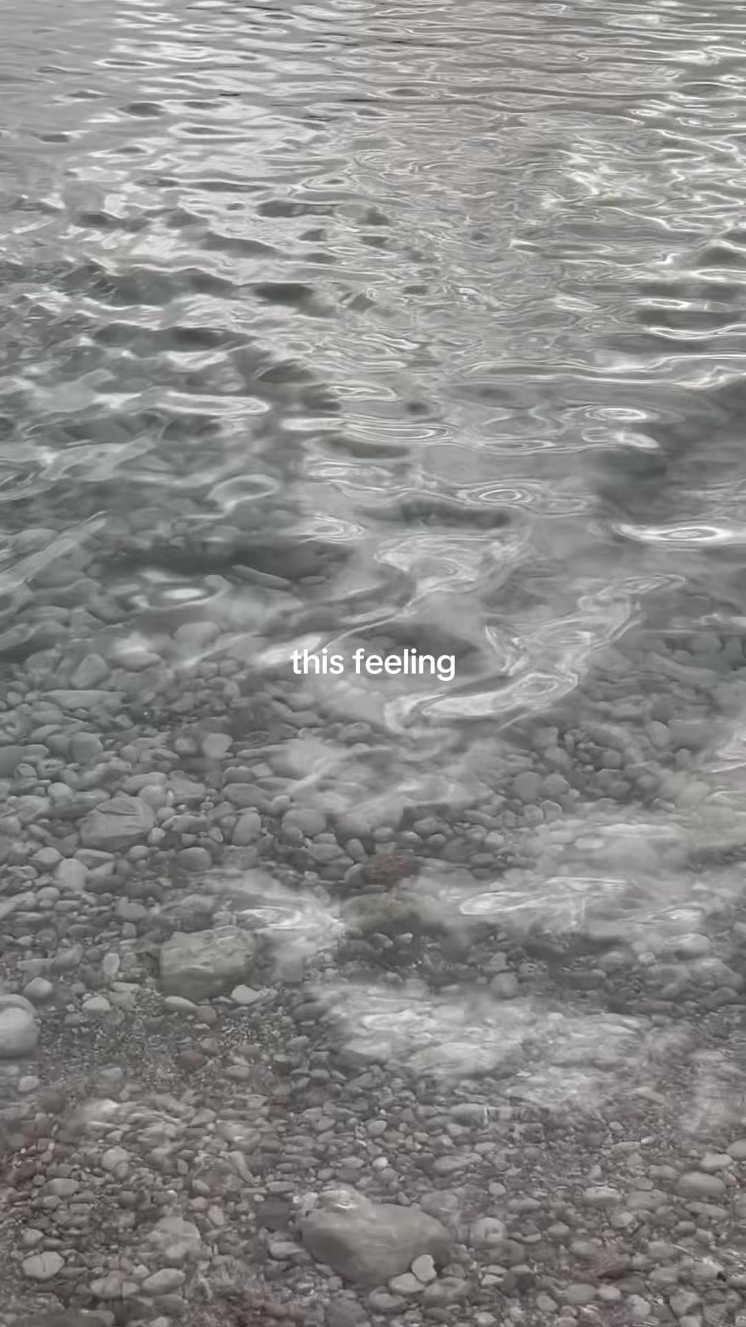 @H A N Y A ๐ฆข