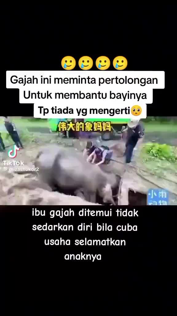 @Sazwan